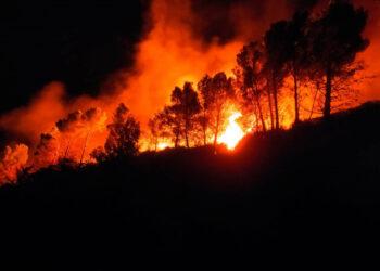 Con aviones hidrantes, helicópteros y bomberos lograron contener incendio en Parque Tornquist