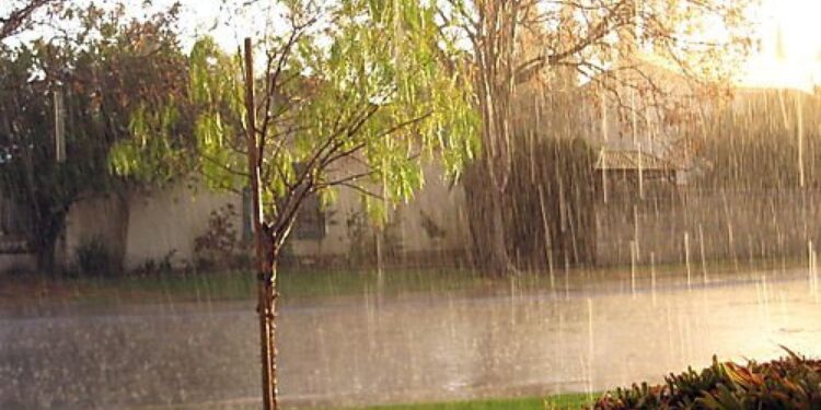 Tiempo según el Servicio Meteorológico NacionalPronóstico | Lluvias y alerta por calor: ¡qué combinación!