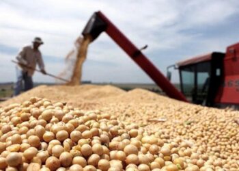 Sergio Massa presentará el dólar agro