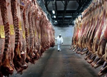 Cuenta DNI registró más de 2 millones de compras en nueve fines de semana