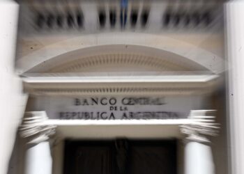 Primer día de Milei con feriado cambiario: las compras de dólares requieren autirización previa