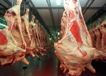 El precio de la carne «no está de acuerdo al poder adquisitivo» dicen propietarios de carnicerías