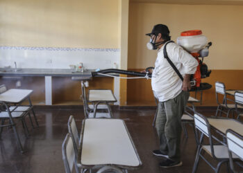 Un panorama del dengue en la región