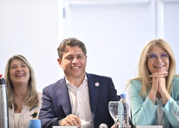 «Los sectores más concentrados son los únicos que se ven beneficiados» por las políticas de Milei