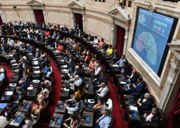 Sesionan diputados para tratar en particular la ley de Reforma del Estado de Milei