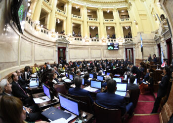 Senadores denuncian que el texto de Ley Bases no es el mismo que se aprobó en Diputados