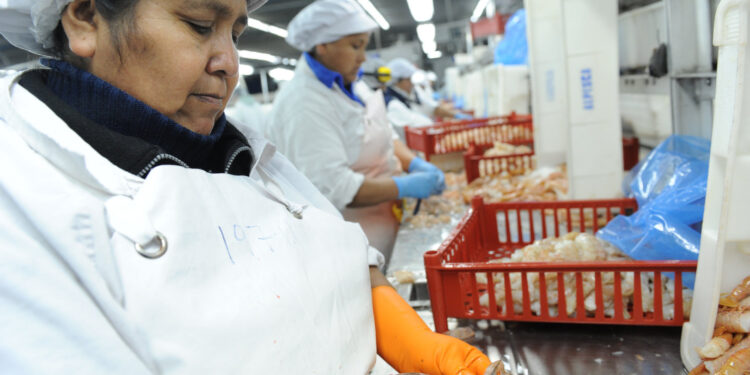 Empeoraron índices de empleo, con mayor impacto sobre mujeres jóvenes