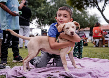 Exitosa tercera edición de la Feria Mascotera: adopciones, alegría y comunidad en Los Toldos