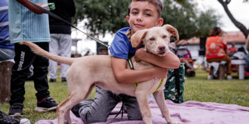 Exitosa tercera edición de la Feria Mascotera: adopciones, alegría y comunidad en Los Toldos