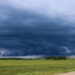 En Carlos Tejedor, productores usan datos de napas para anticiparse a las inundaciones de El Niño